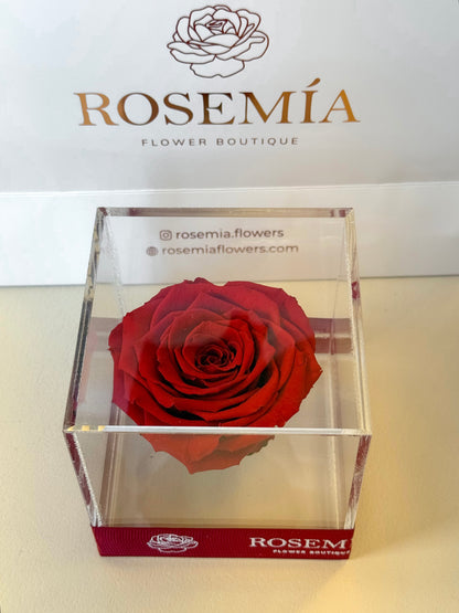 No.179 LOVE IN A CUBE