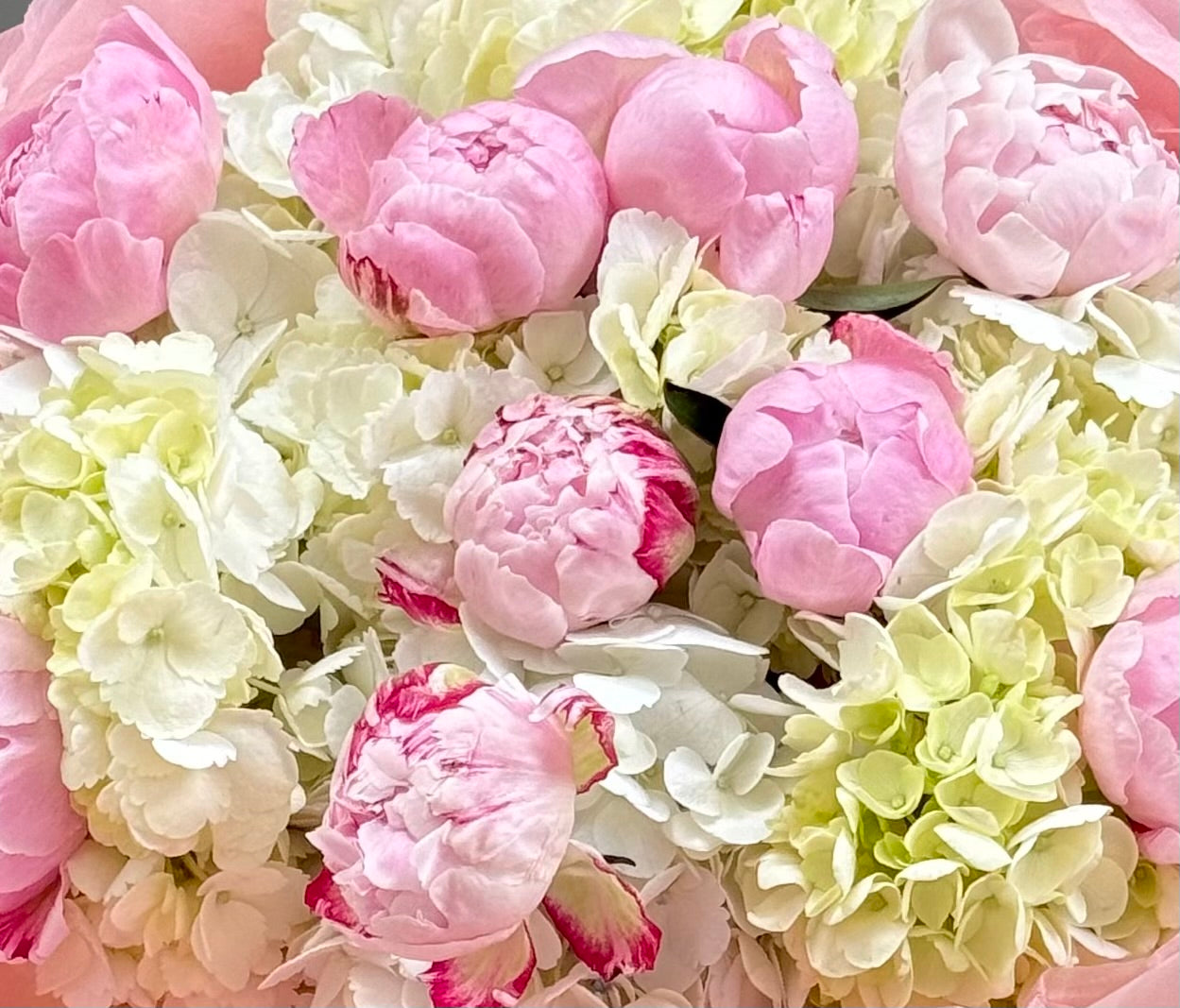 No.39 PEONY SERENADE - hydrangeas, peonies