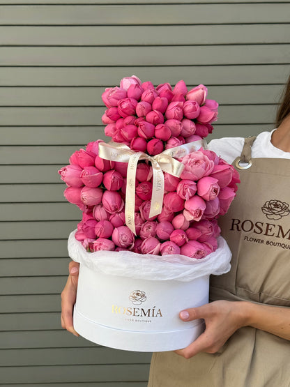 No.176 OSO ROSA