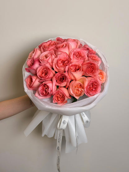No. 36 CORAL ALLURE