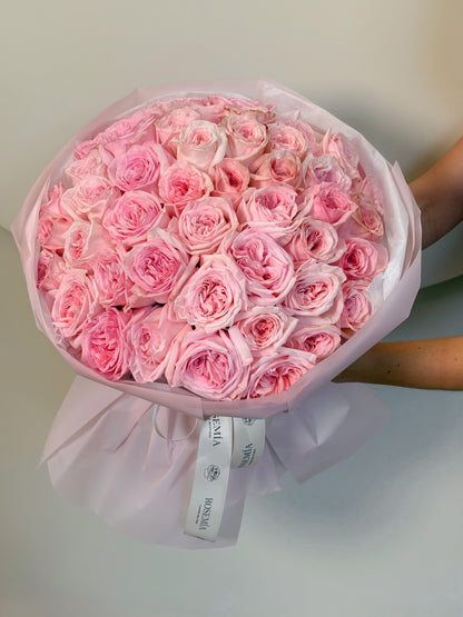 No. 66 IMPERIAL PINK