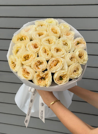No.245 CREAM BRULEE - garden roses