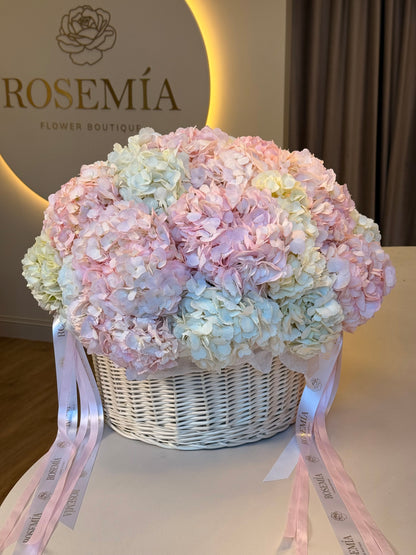 No.184 HYDRANGEAS BASKET
