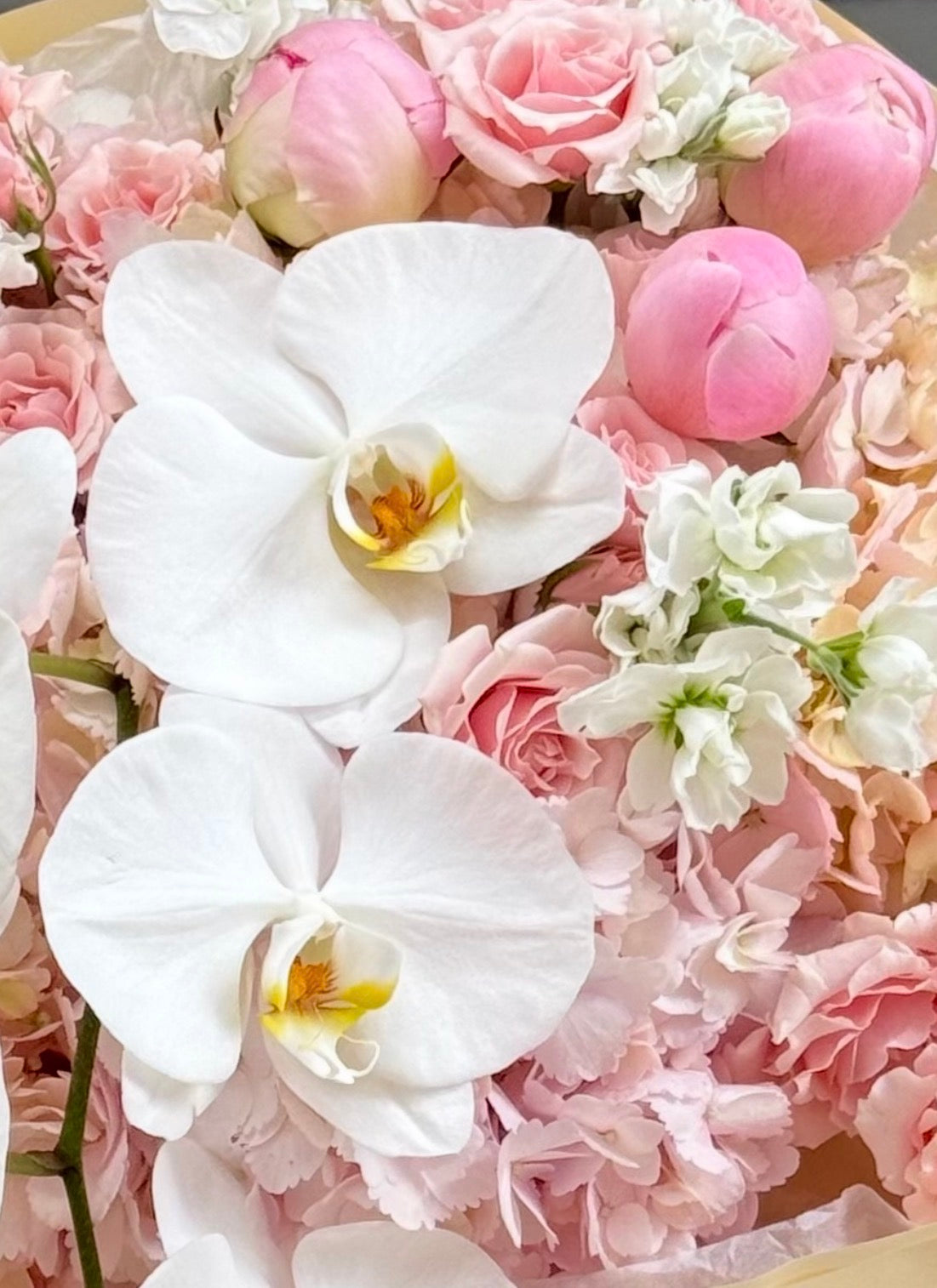 No.233 ORCHID SOLEIL - hydrangeas, spray roses, orchids