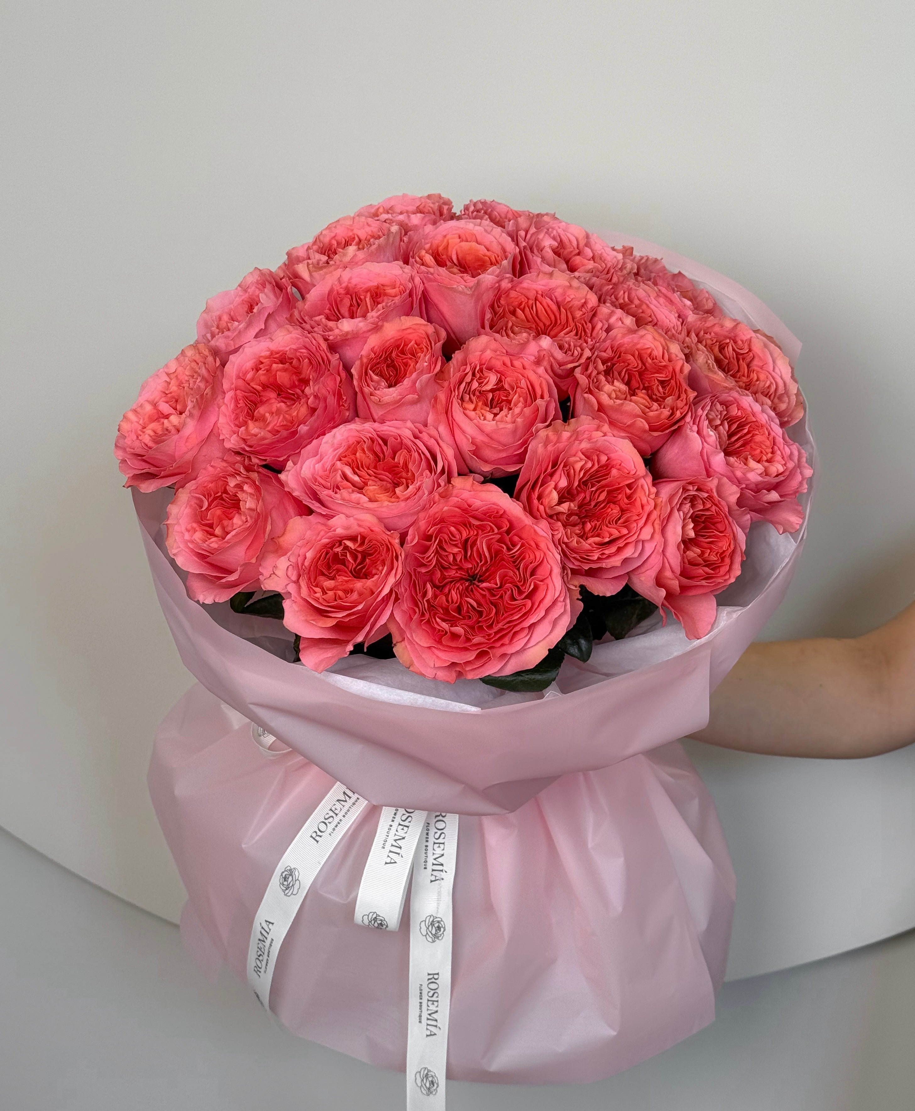 No. 51 CANDY CORAL