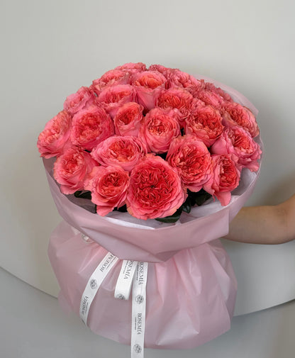 No. 51 CANDY CORAL