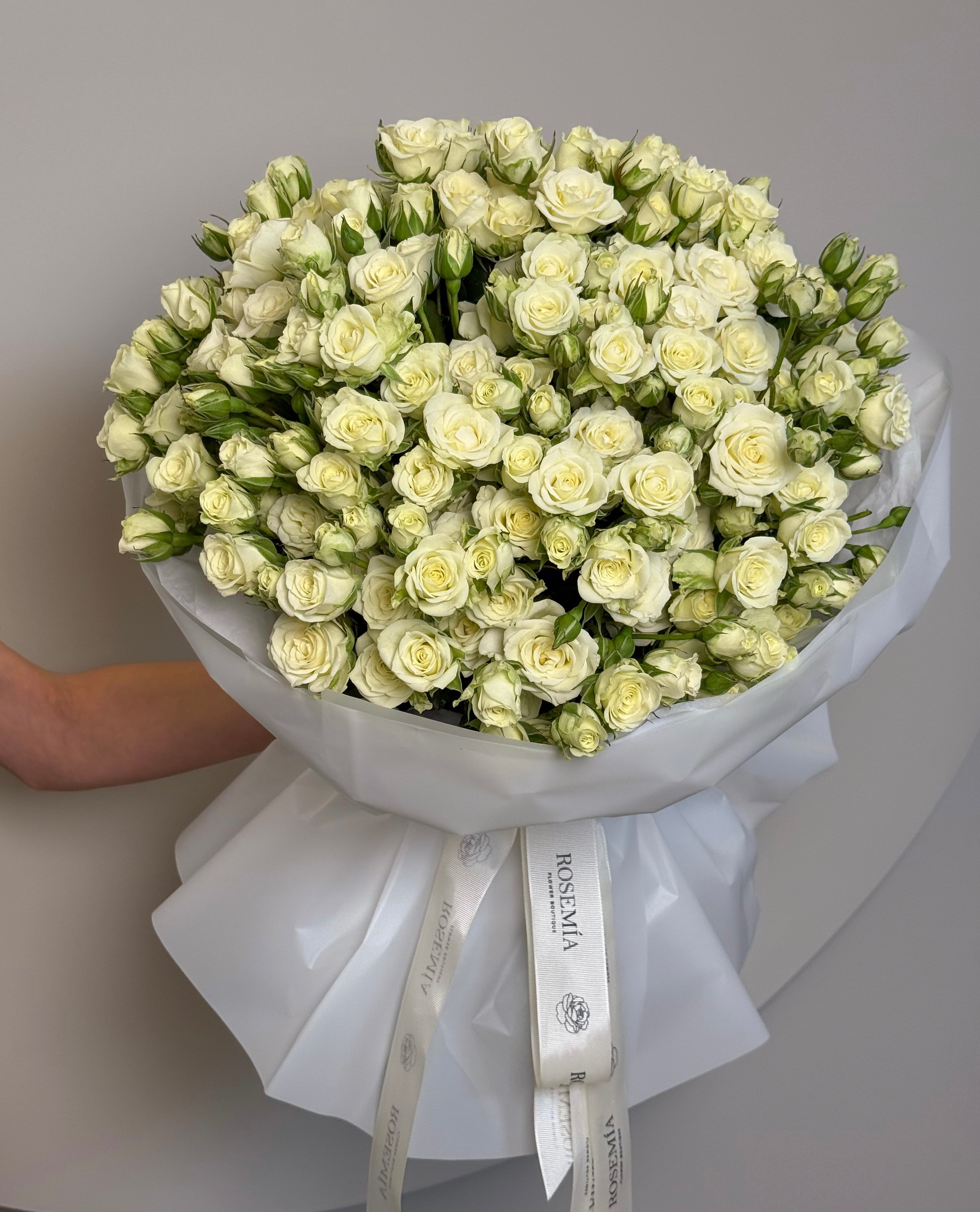 No. 37 BLANC GRANDE