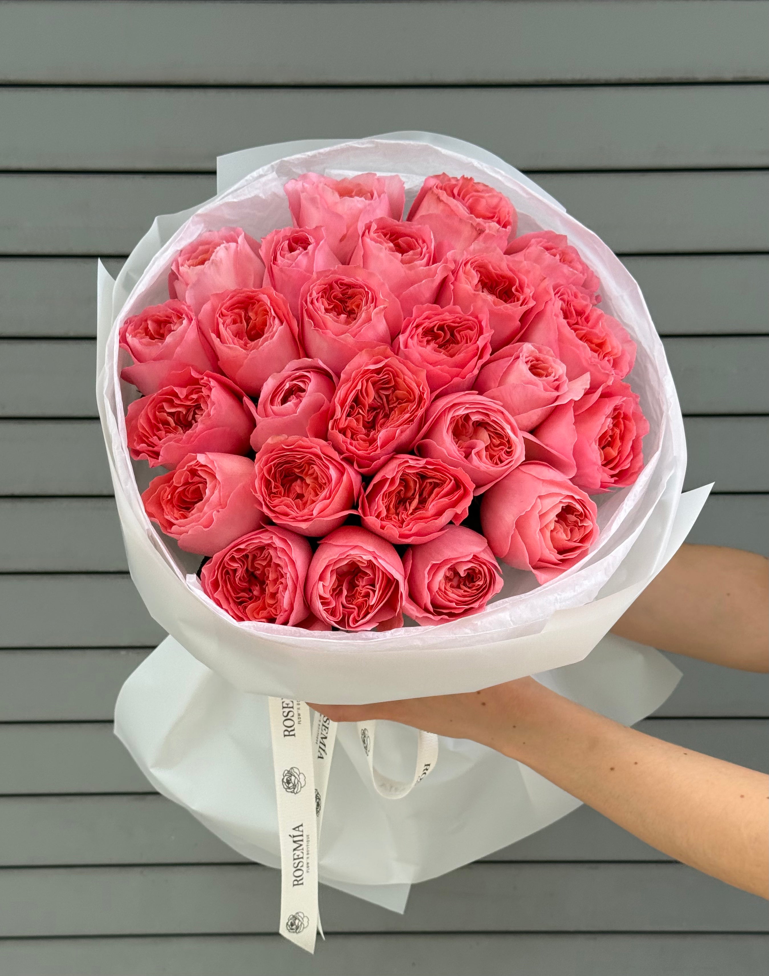 No.51 CANDY CORAL - garden roses