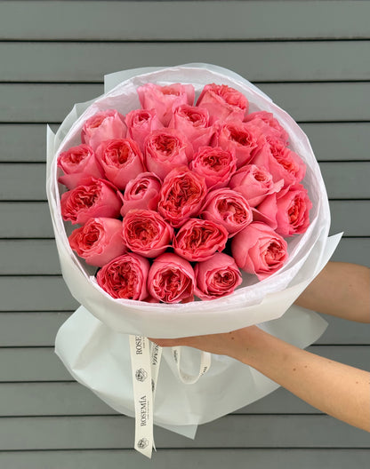 No.51 CANDY CORAL - garden roses