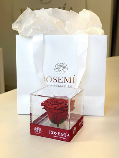 No.179 LOVE IN A CUBE