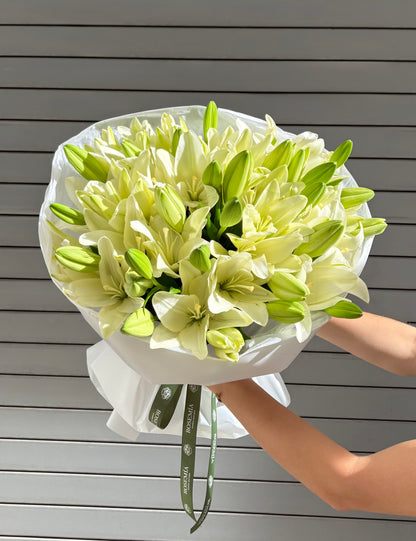 No. 250 WHITE LILY ELEGANCE - oriental lilies