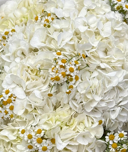 No.228 CHAMOMILE GRACE - hydrangeas, chamomile