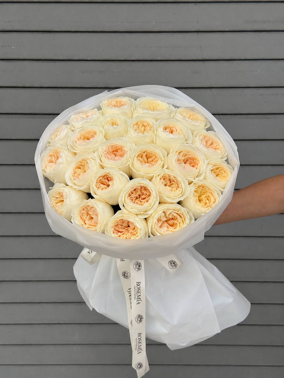 No.245 CREAM BRULEE - garden roses