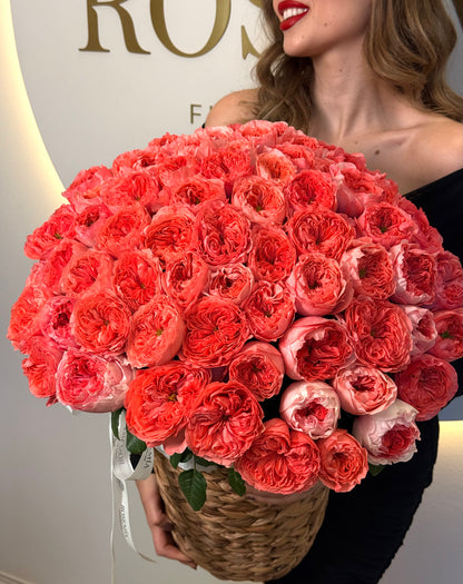 No.149 CORAL ROYALE BASKET