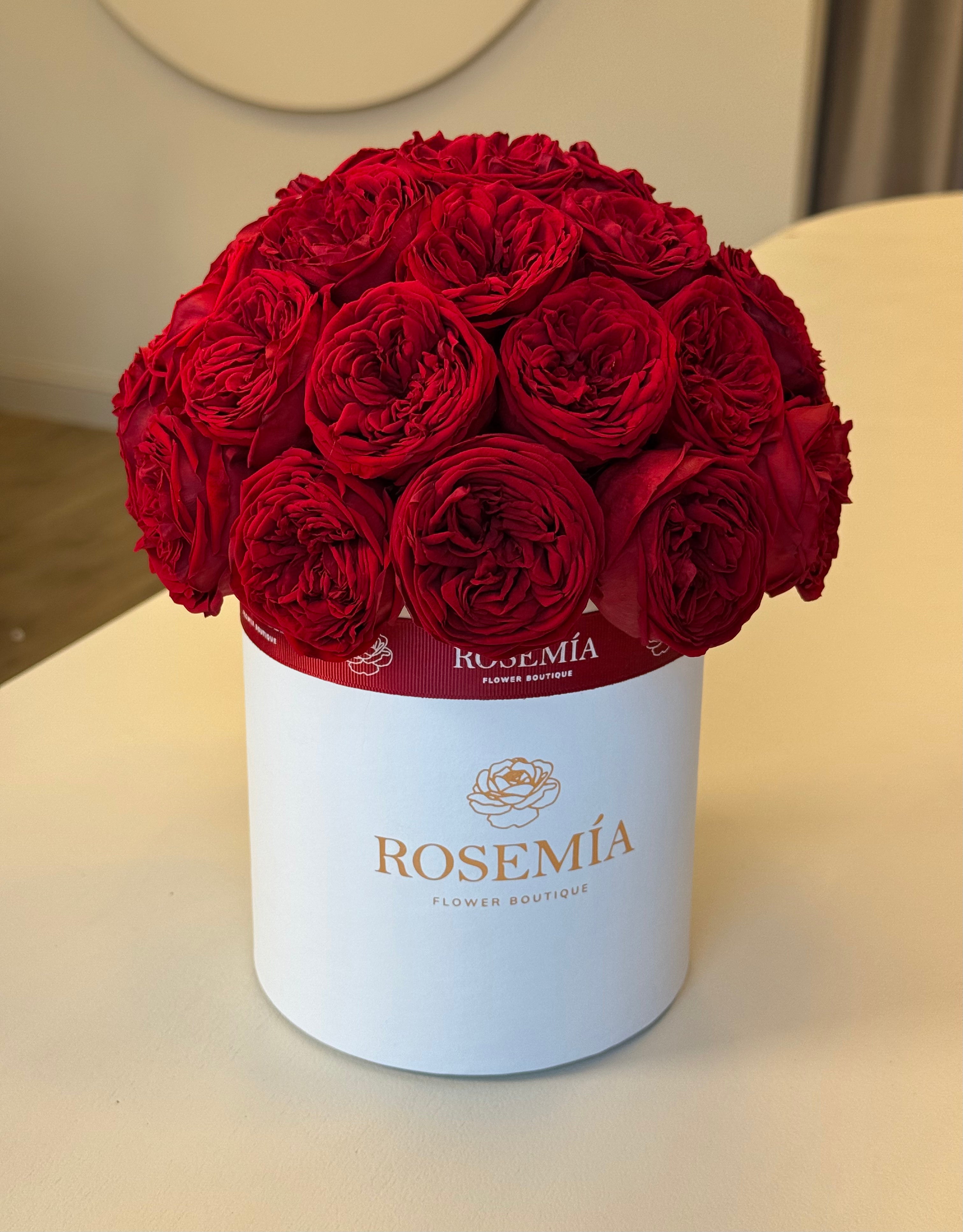 No.181 CRIMSON GARDEN ROSE