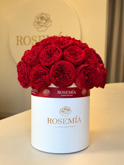 No.181 CRIMSON GARDEN ROSE