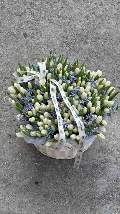 N.º 206 150 TULIPANES EN UNA CESTA