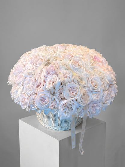 125 rosas White O'Hara en una cesta