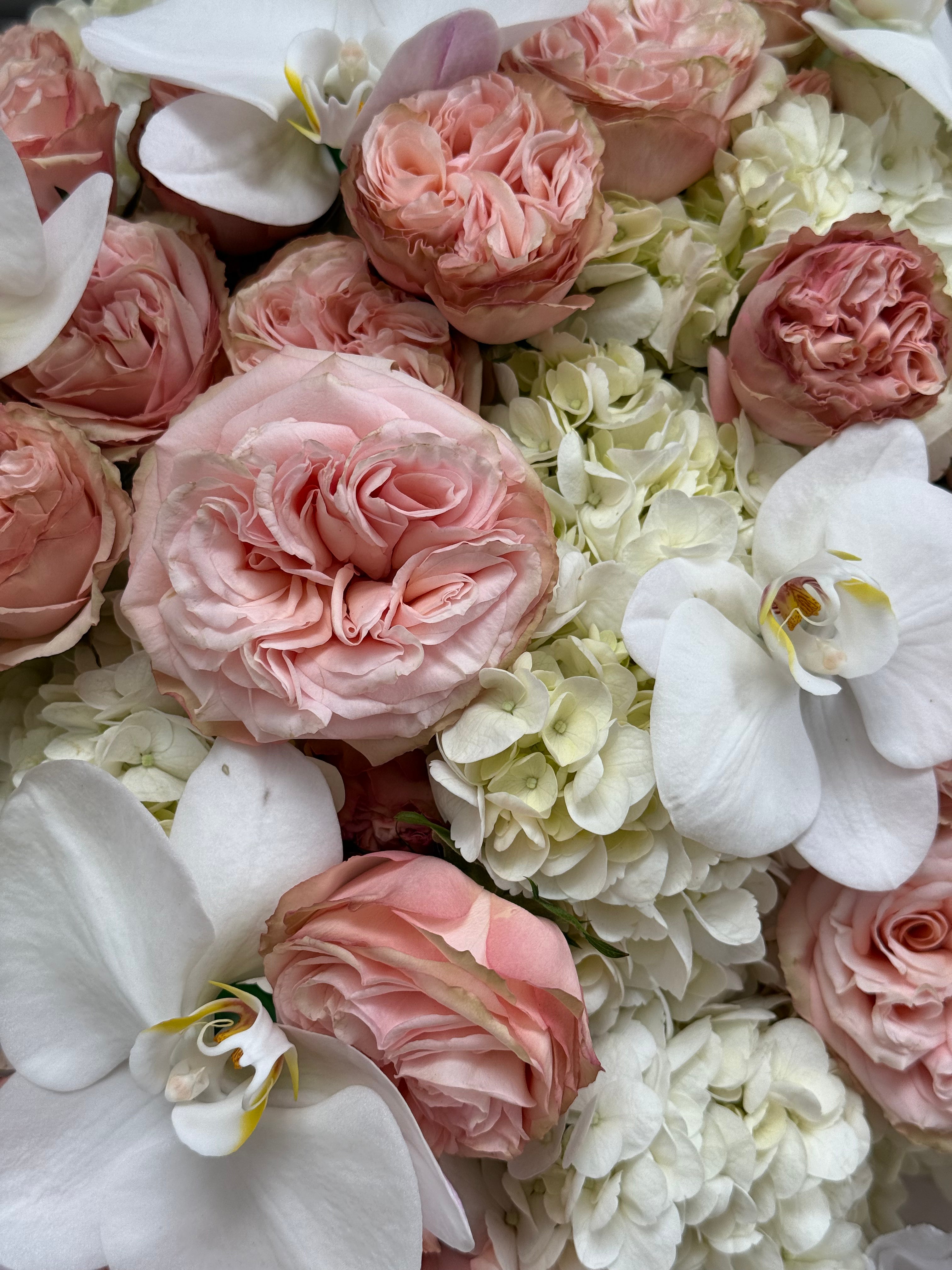 No.43 AURORA CHARM - garden roses, hydrangeas, orchids