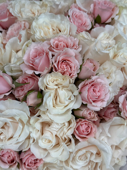 No.22 ROSE - roses