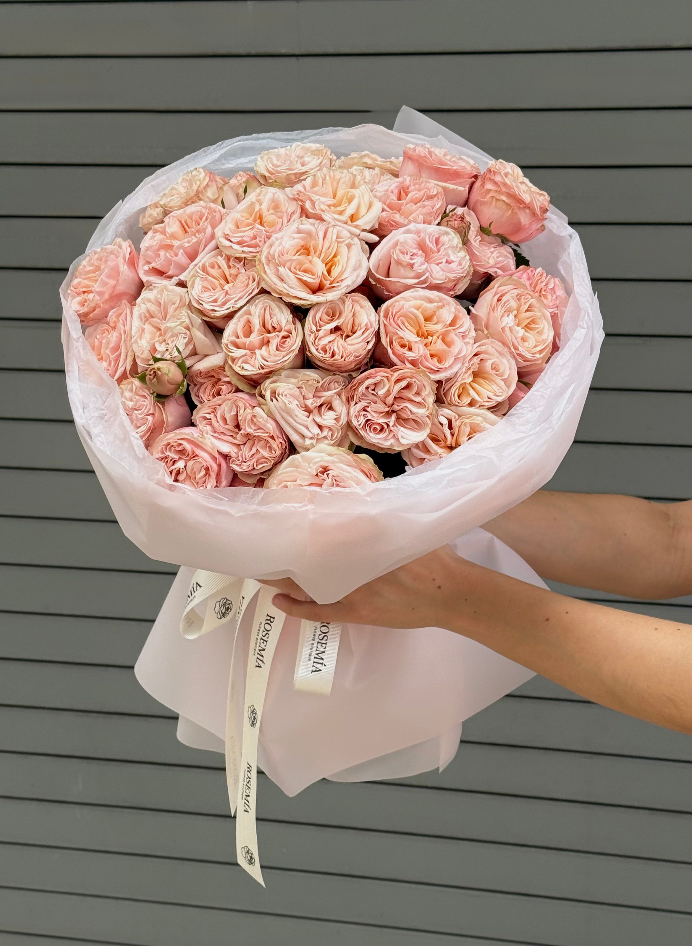 No.97 PINK TEMPTATION - garden spray roses