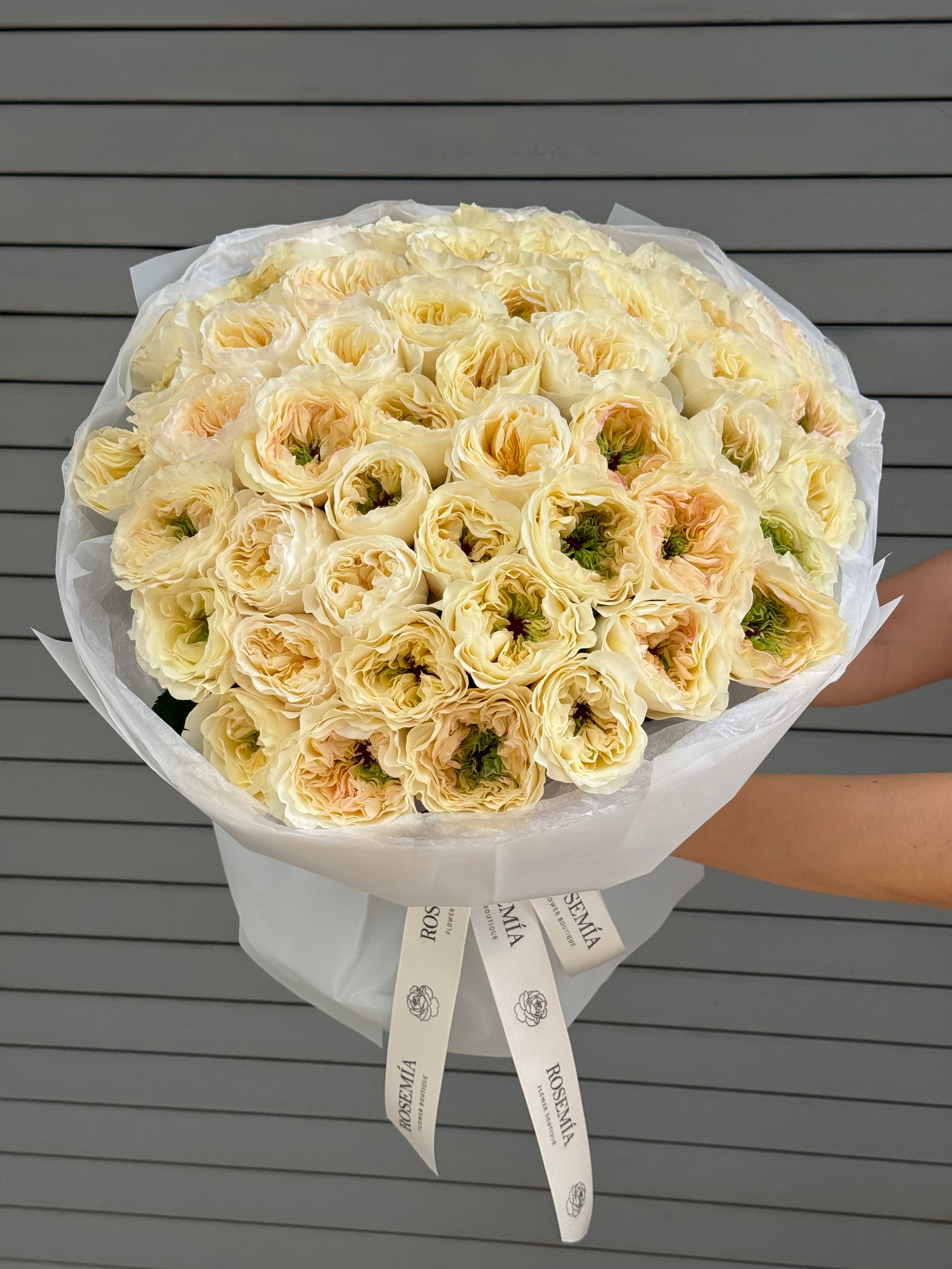 No.245 VICKY GARDENS - garden roses