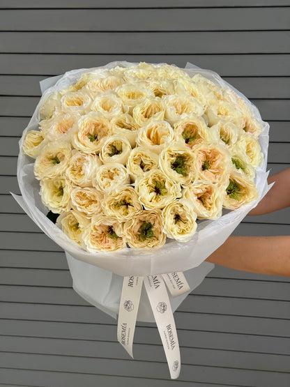 No.245 VICKY GARDENS - garden roses
