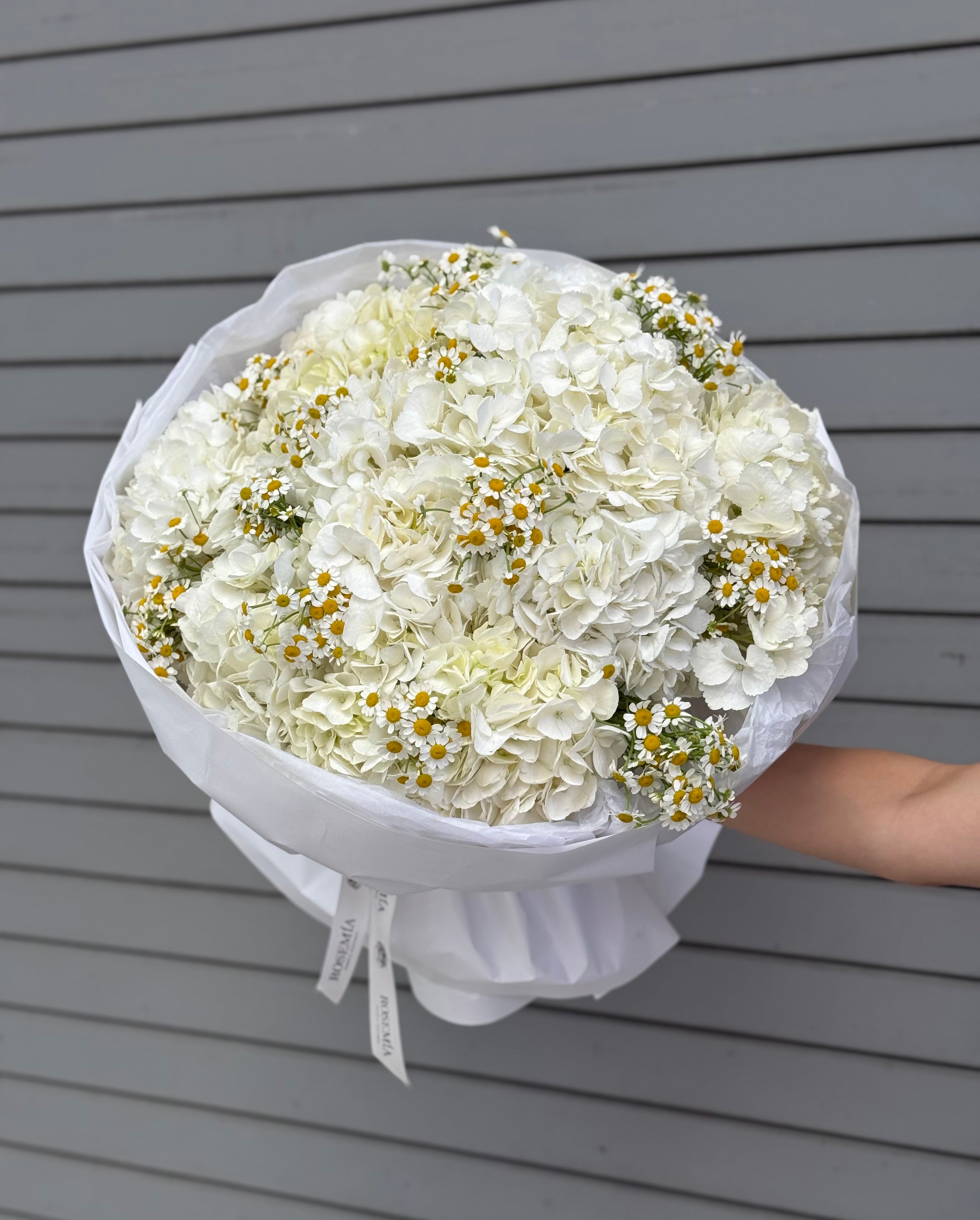 No.228 CHAMOMILE GRACE - hydrangeas, chamomile