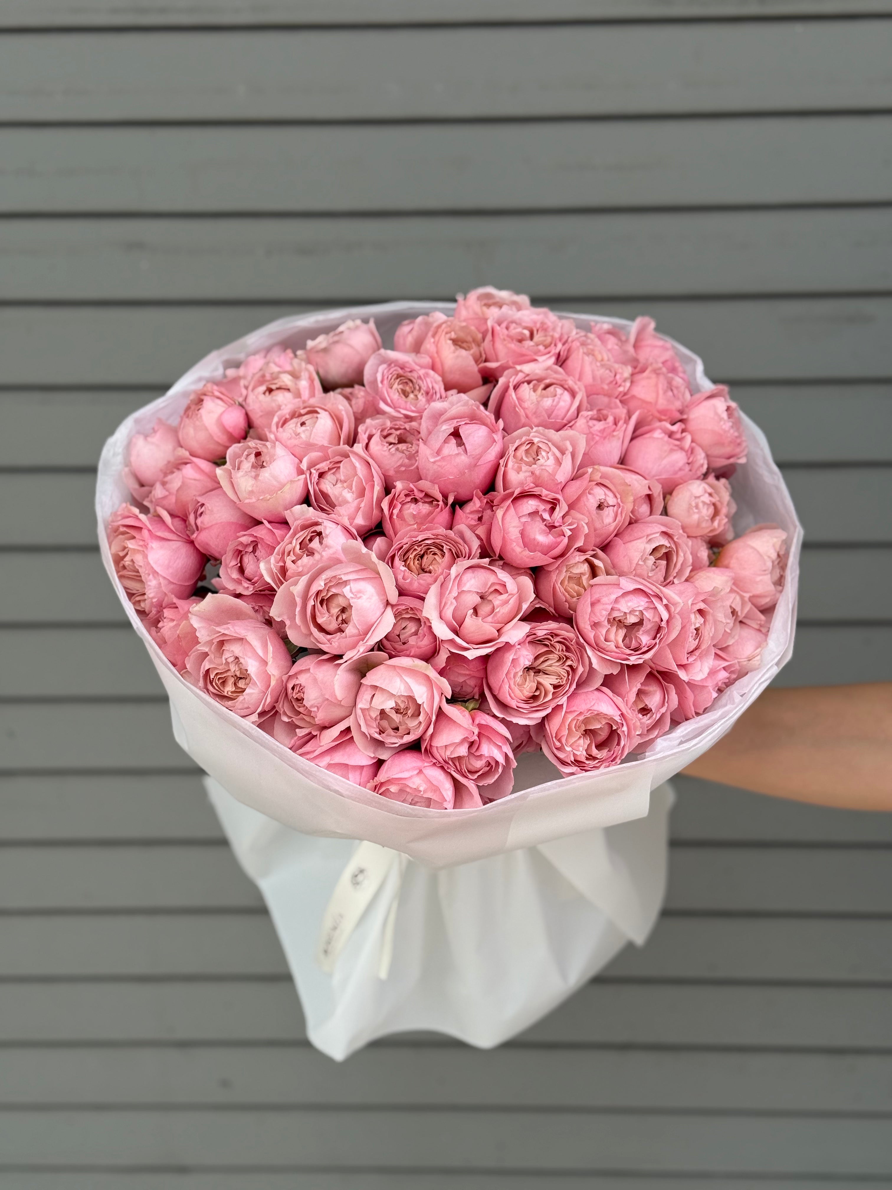 No.171 JULIETTE - garden spray roses