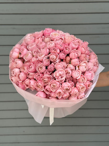 No.171 JULIETTE - garden spray roses