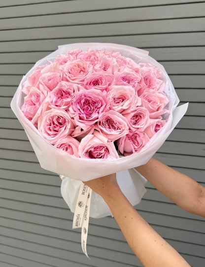 No.66 IMPERIAL PINK - garden roses ohara
