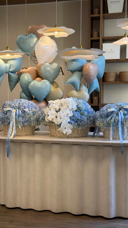 Rosemia Signature Room Decor