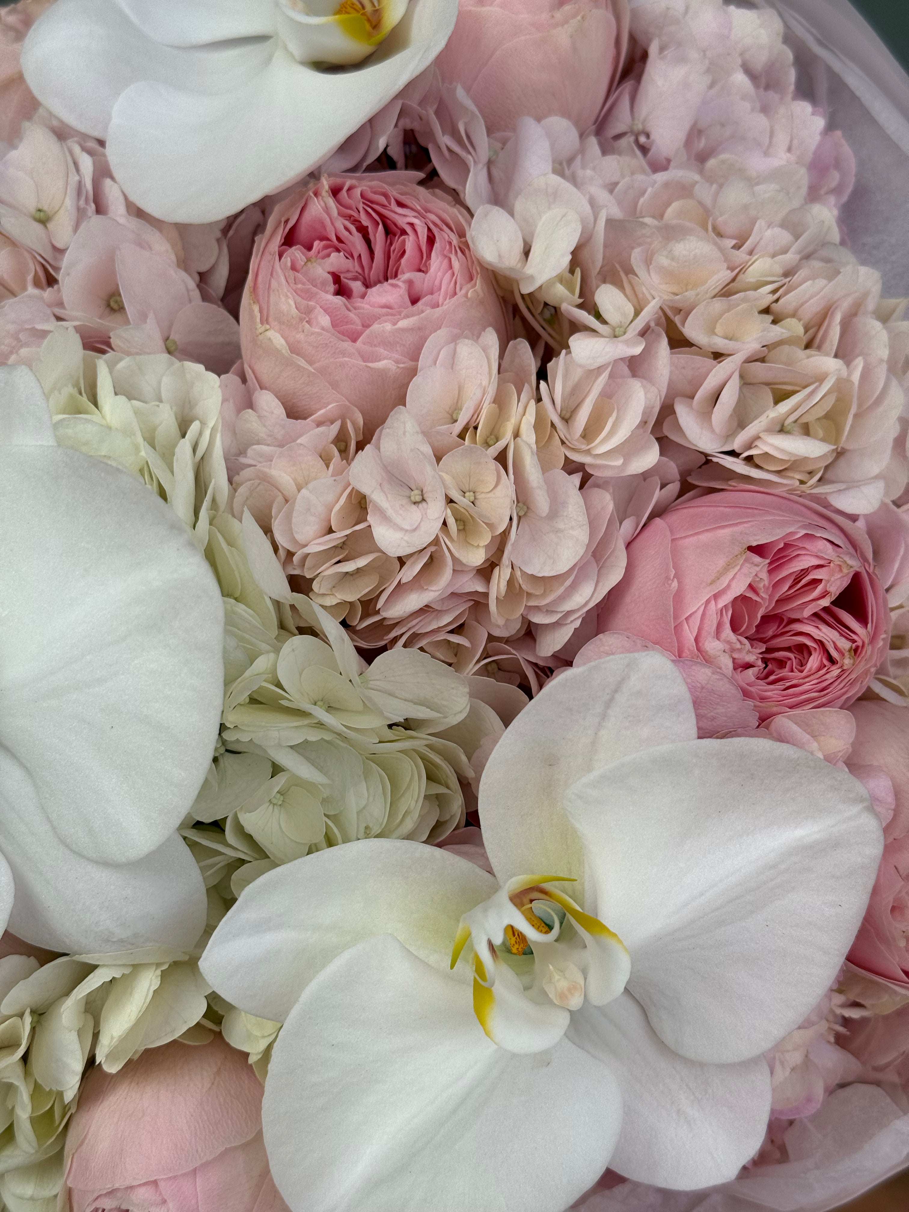 No.229 BLUSH ORCHID ÉVEIL - hydrangeas, garden roses, orchids