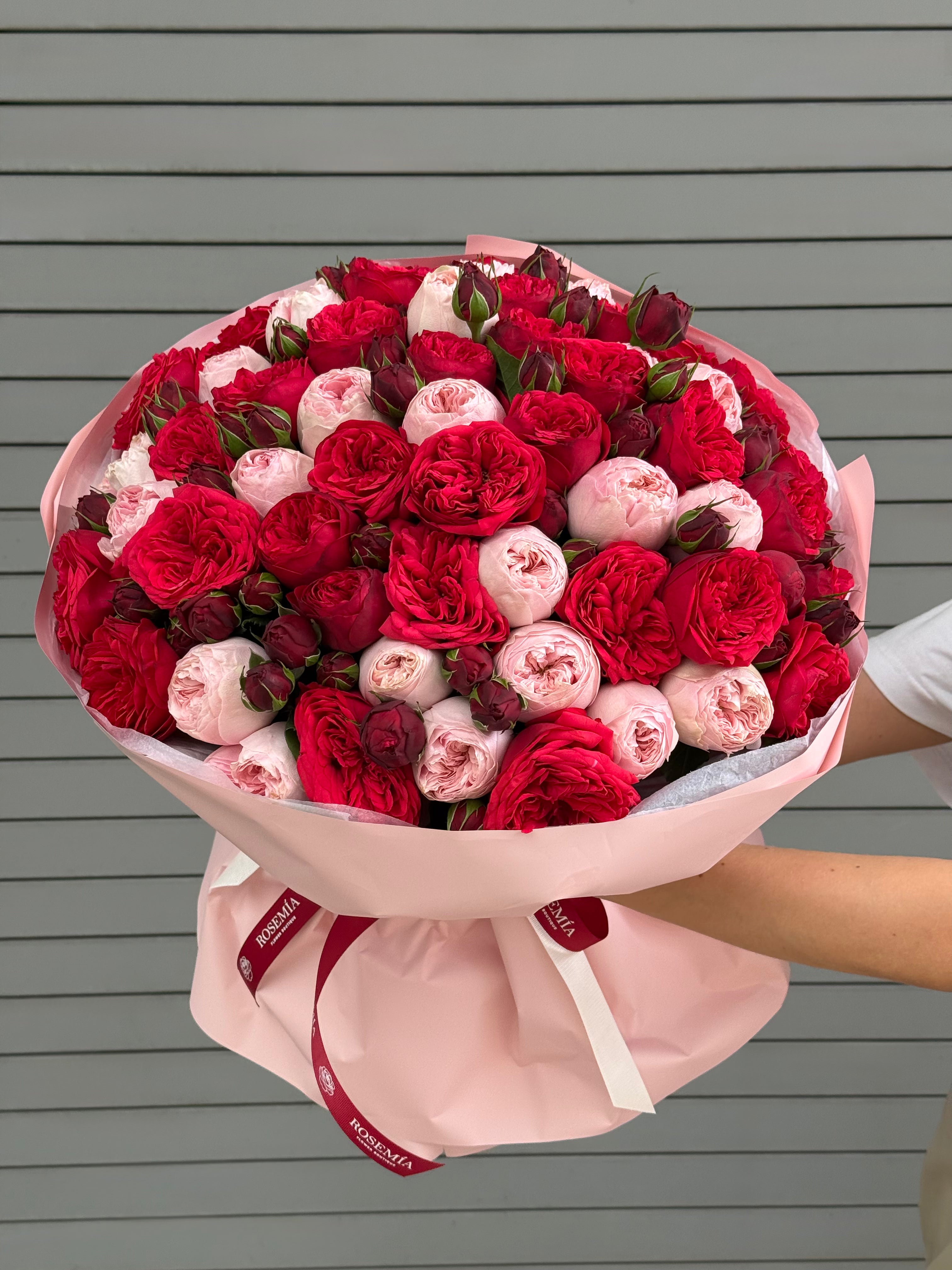 No.44 ROSE ALLURE - premium garden roses
