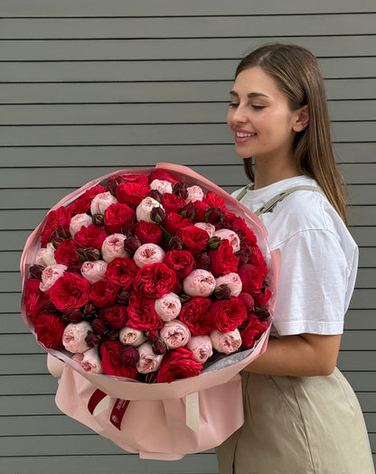 No.44 ROSE ALLURE - premium garden roses