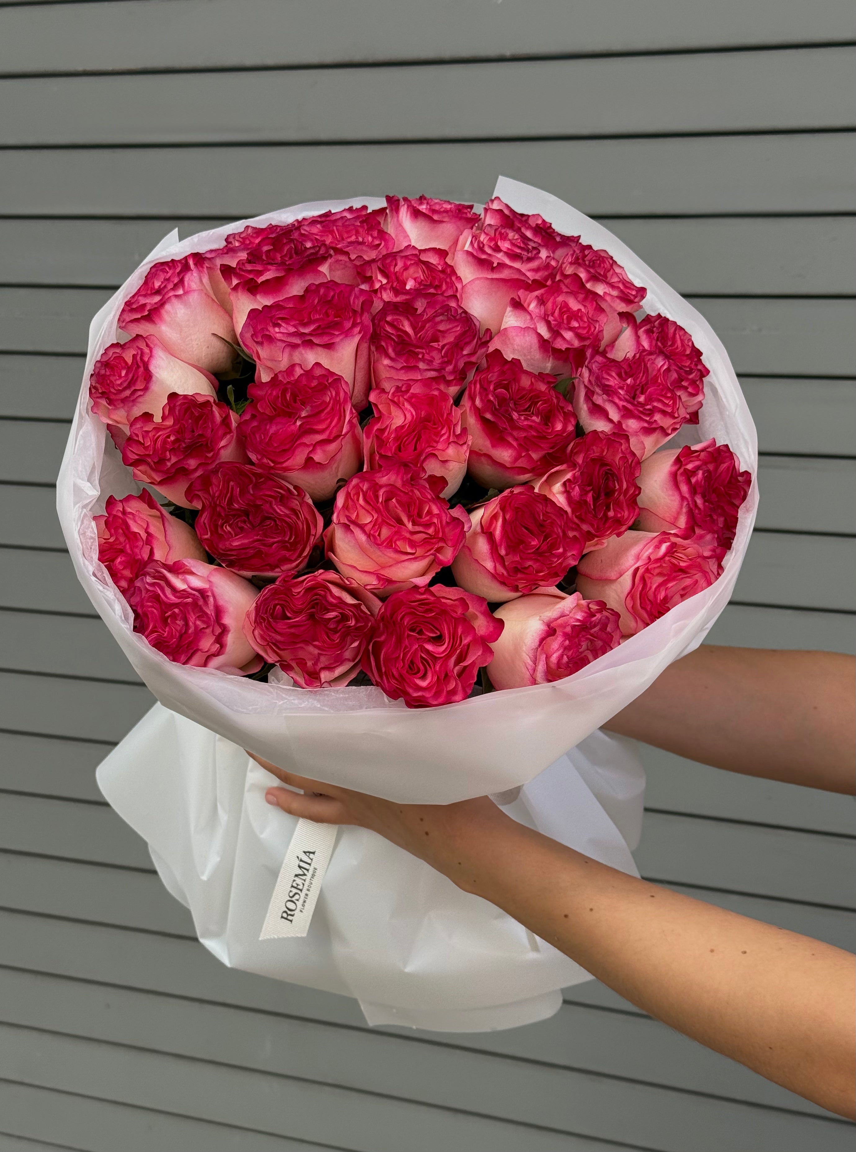 No.198 LUSH PINK - garden roses