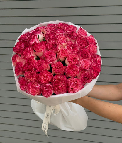 Nro. 198 ROSAS ROSAS LUSCIOUS