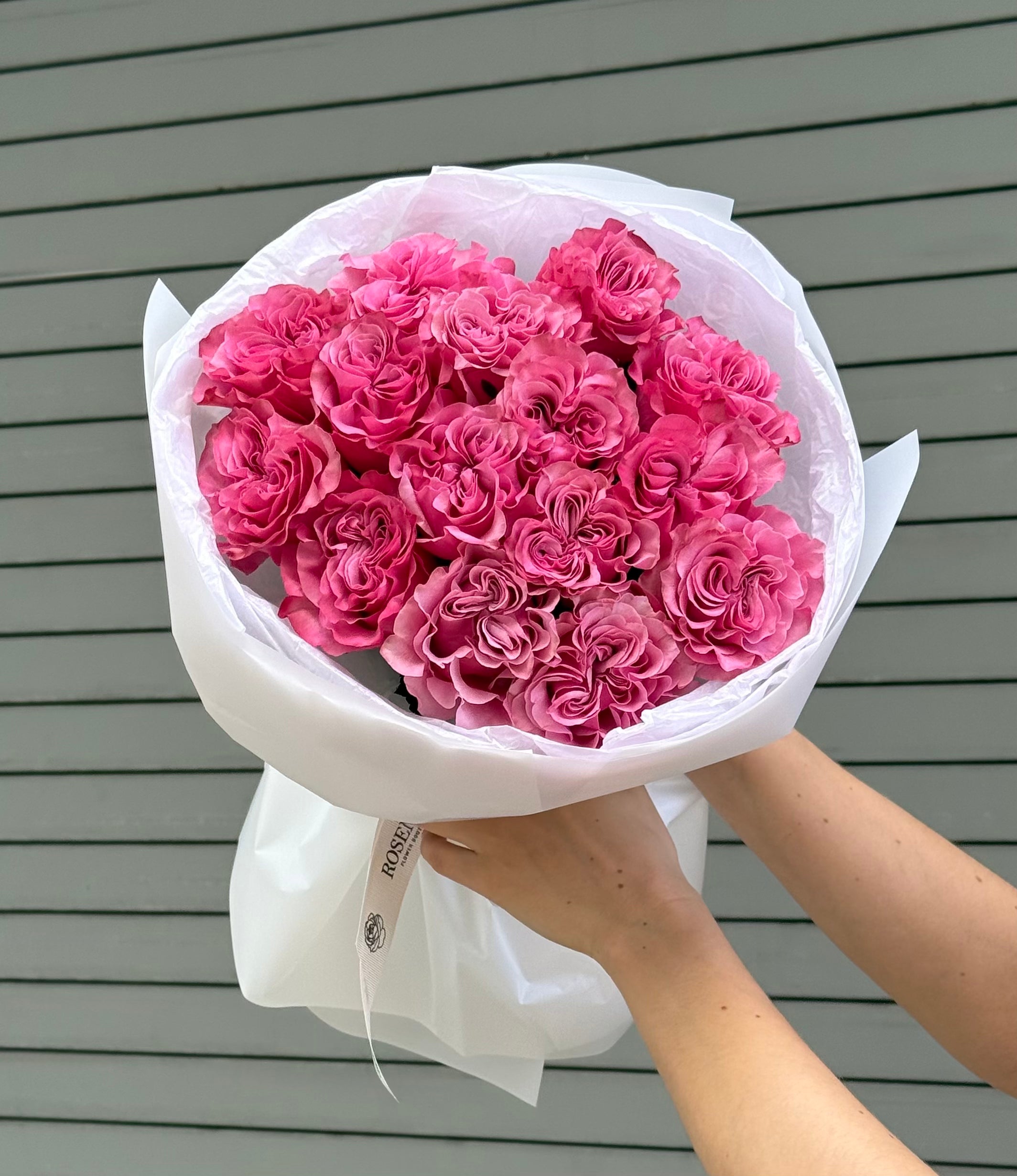 No.61 PINK BLISS - garden roses