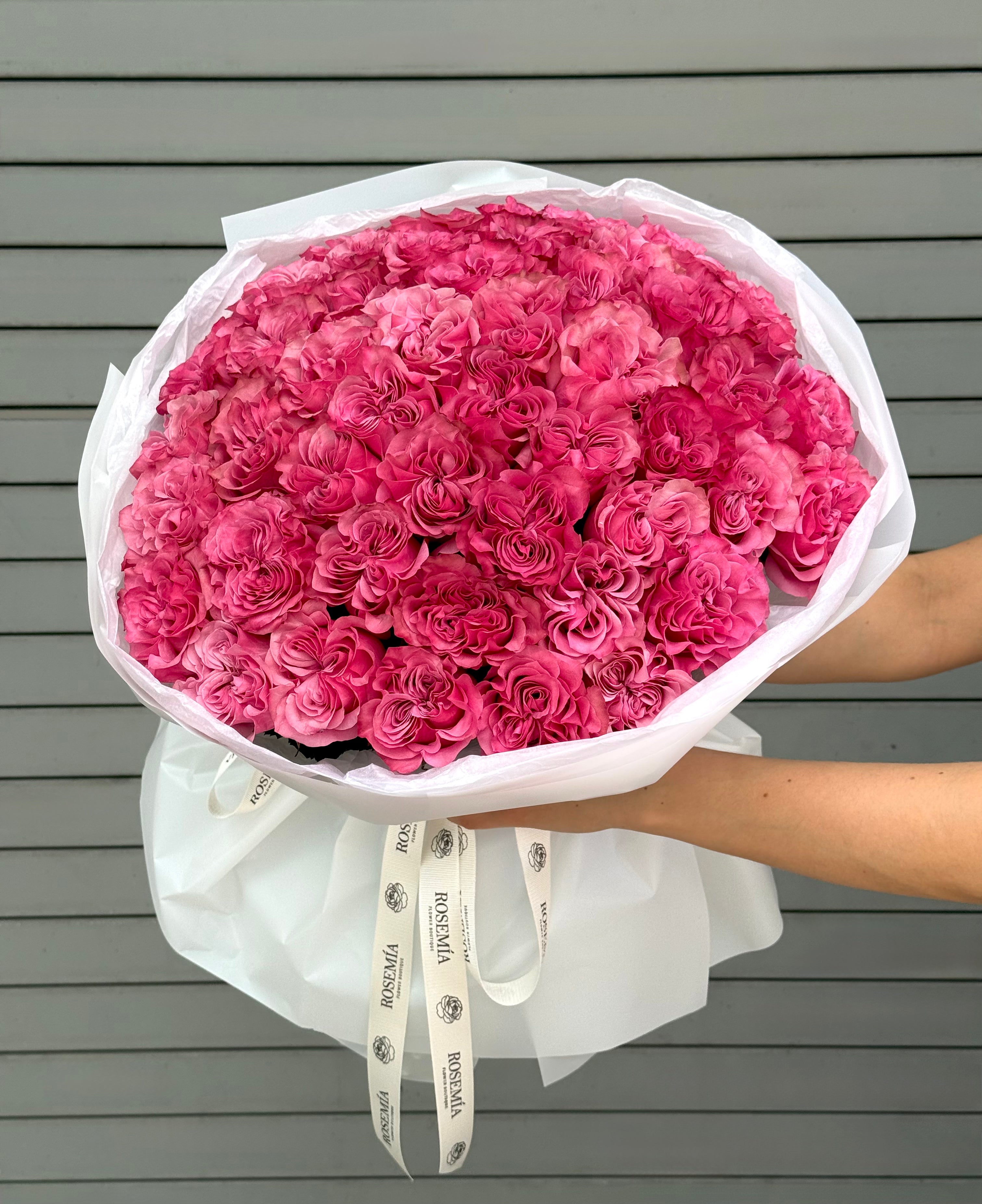 No.61 PINK BLISS - garden roses