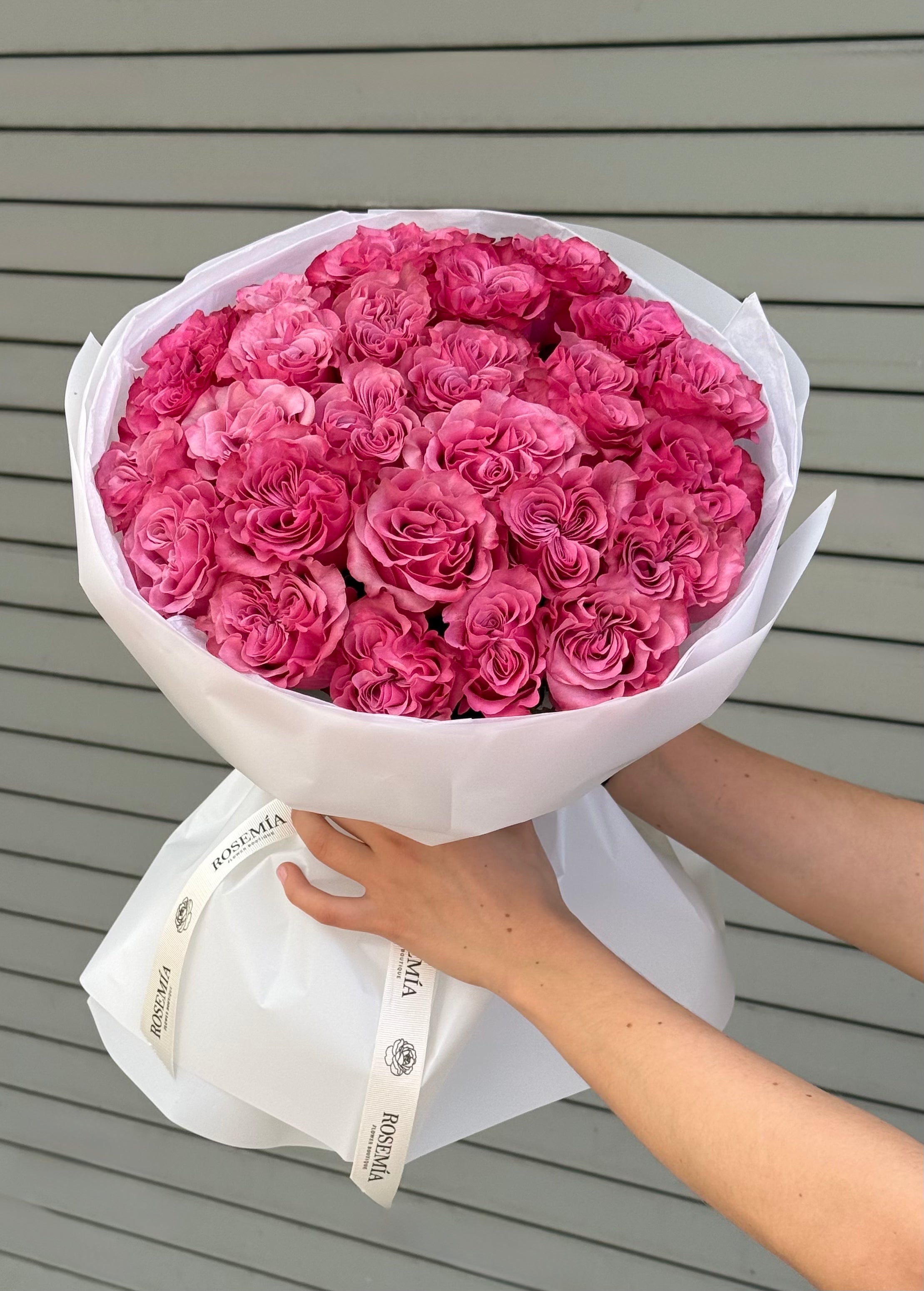 No.61 PINK BLISS - garden roses