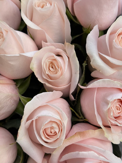 No.09 PETAL - roses