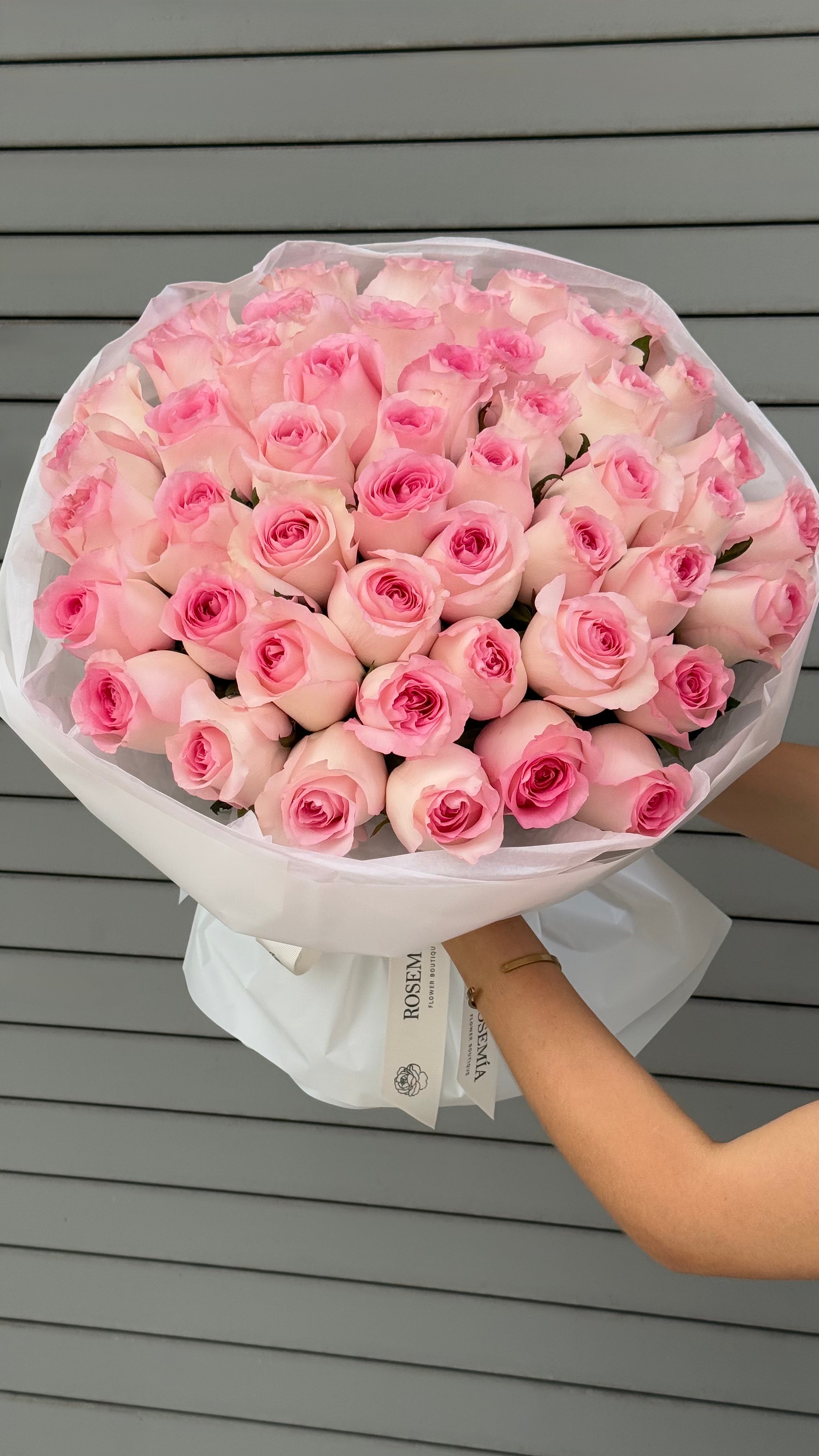 No.254 PINK CHANTILLY - garden roses