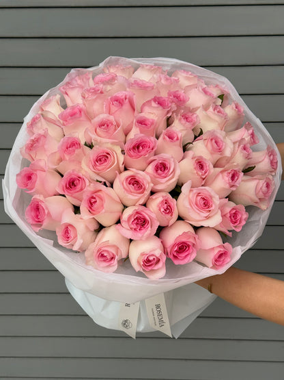 No.254 PINK CHANTILLY - garden roses