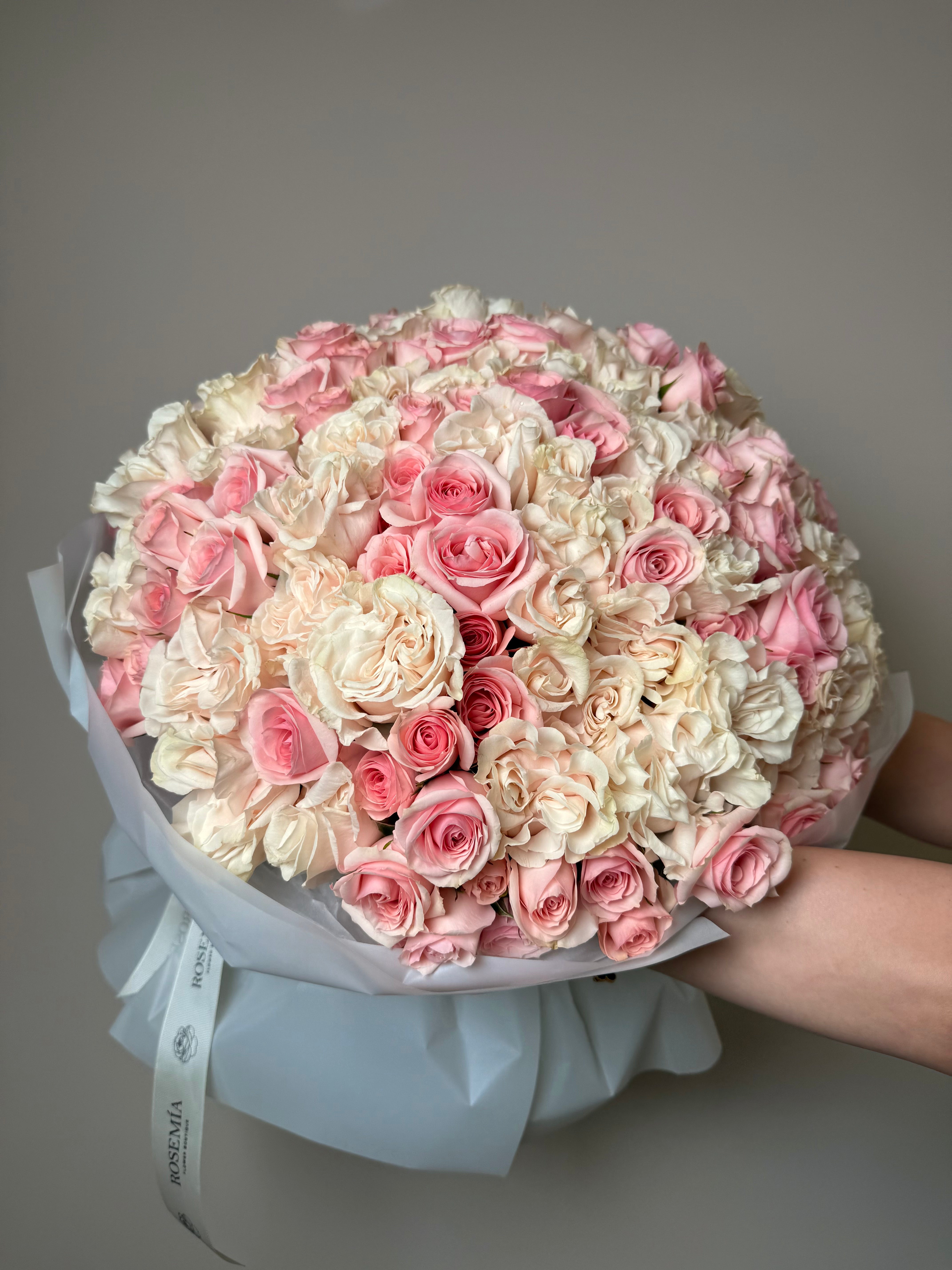 No. 22 ROSE