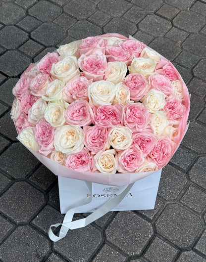 No.156 ROSÉ AFFAIR - garden roses