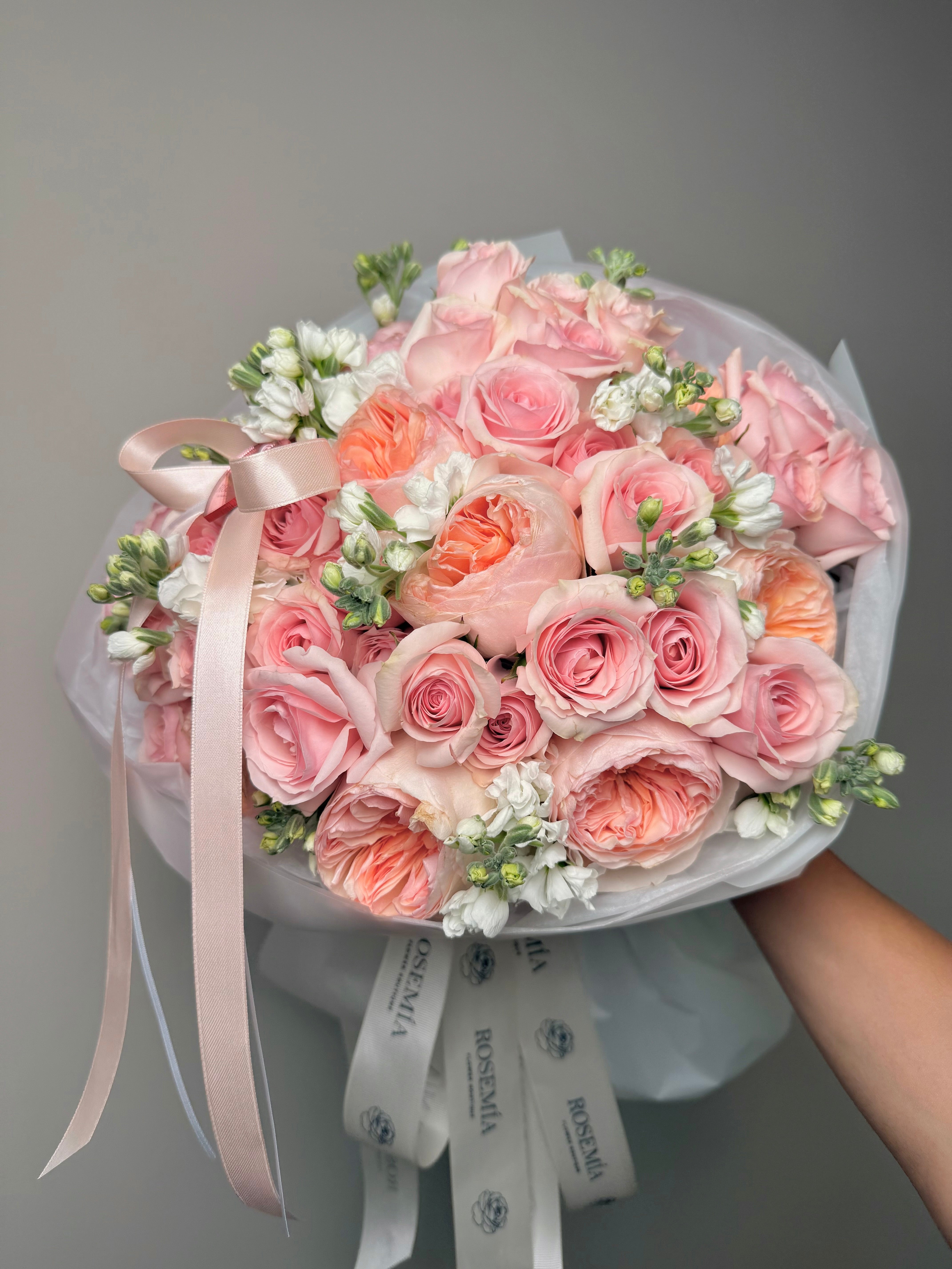No. 27 SUNLIT BLUSH
