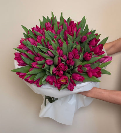 No.192 HOT PINK TULIPS