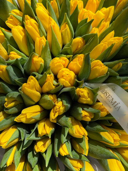 No.186 TULIPANES AMARILLOS