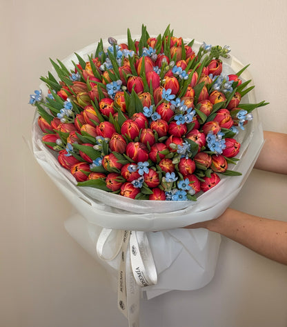 No.187 CORAL TULIPS
