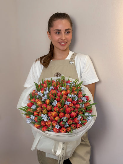 No.187 CORAL TULIPS
